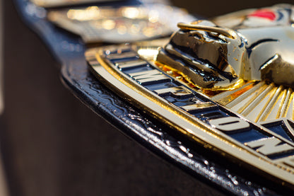 The Rock Brahma Bull Championship Title Belt Gallery 2