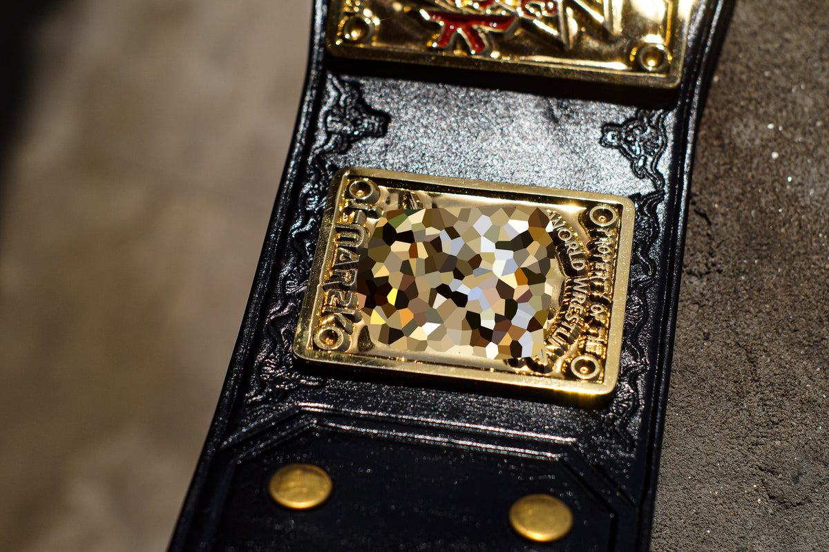 The Rock Brahma Bull Championship Title Belt Gallery 2