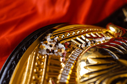 The Rock Brahma Bull Championship Title Belt Gallery 2