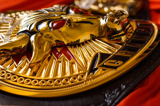 The Rock Brahma Bull Championship Title Belt Gallery 2