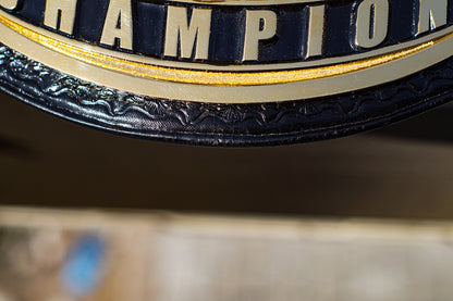The Rock Brahma Bull Championship Title Belt Gallery 2