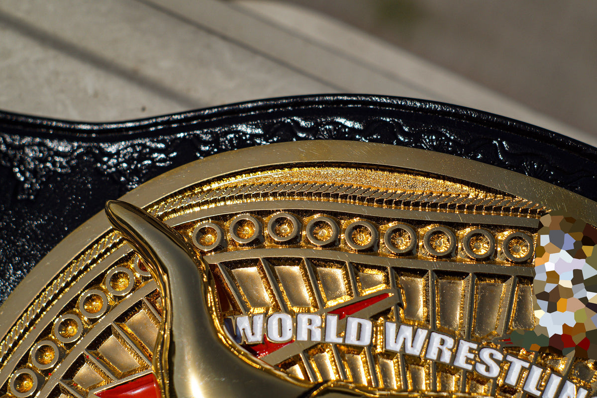 The Rock Brahma Bull Championship Title Belt Gallery 2