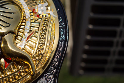 The Rock Brahma Bull Championship Title Belt Gallery 2