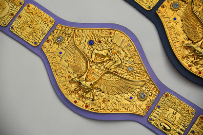 WWWF BOB BACKLUND Heavy weight title Belt