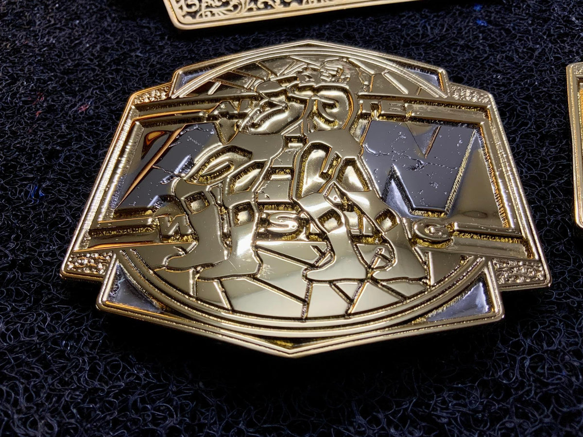 AEW World Tag Team Championship Title Belt