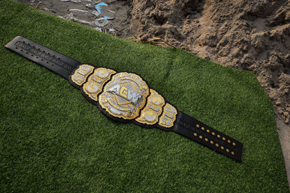 AEW World Title Belt
