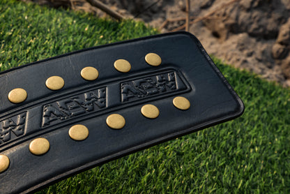 AEW World Title Belt