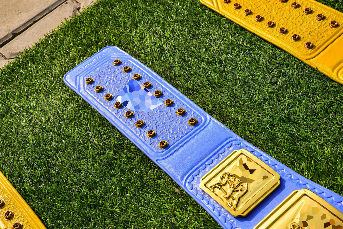 4.2mm Classic IC Title Blue Leather Sharp Corners