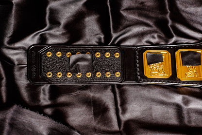 4.2mm Classic IC Title Black Leather Sharp Corners Gallery 1