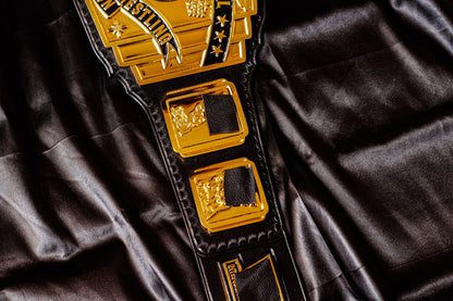 4.2mm Classic IC Title Black Leather Sharp Corners Gallery 1
