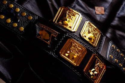 4.2mm Classic IC Title Black Leather Sharp Corners Gallery 1