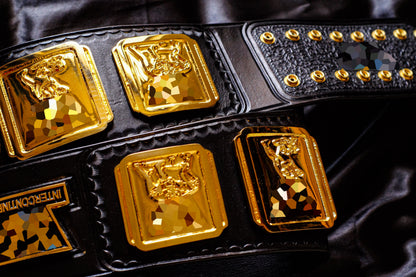 4.2mm Classic IC Title Black Leather Sharp Corners Gallery 1