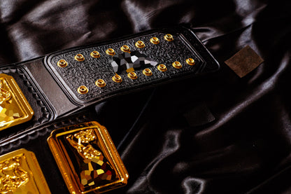 4.2mm Classic IC Title Black Leather Sharp Corners Gallery 1