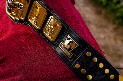 4.2mm Classic IC Title Black Leather Sharp Corners Gallery 1