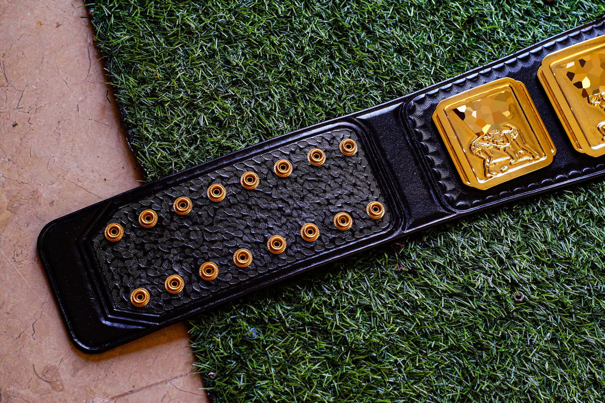 4.2mm Classic IC Title Black Leather Sharp Corners Gallery 1
