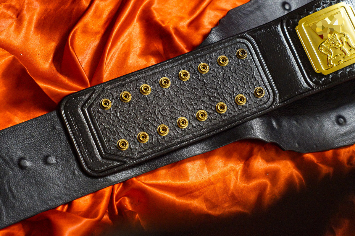 4.2mm Classic IC Title Black Leather Sharp Corners Gallery 1