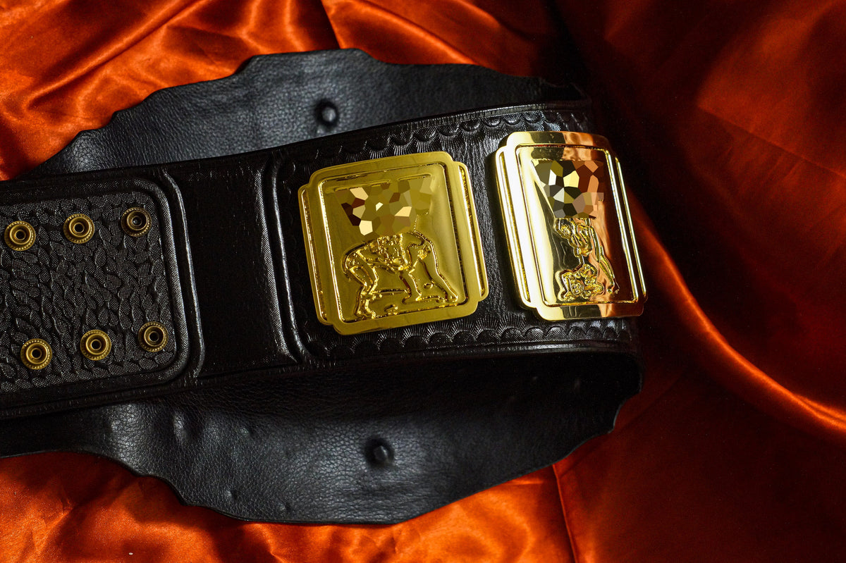 4.2mm Classic IC Title Black Leather Sharp Corners Gallery 1