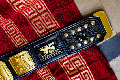 4.2mm Classic IC Title Black Leather Sharp Corners Gallery 1