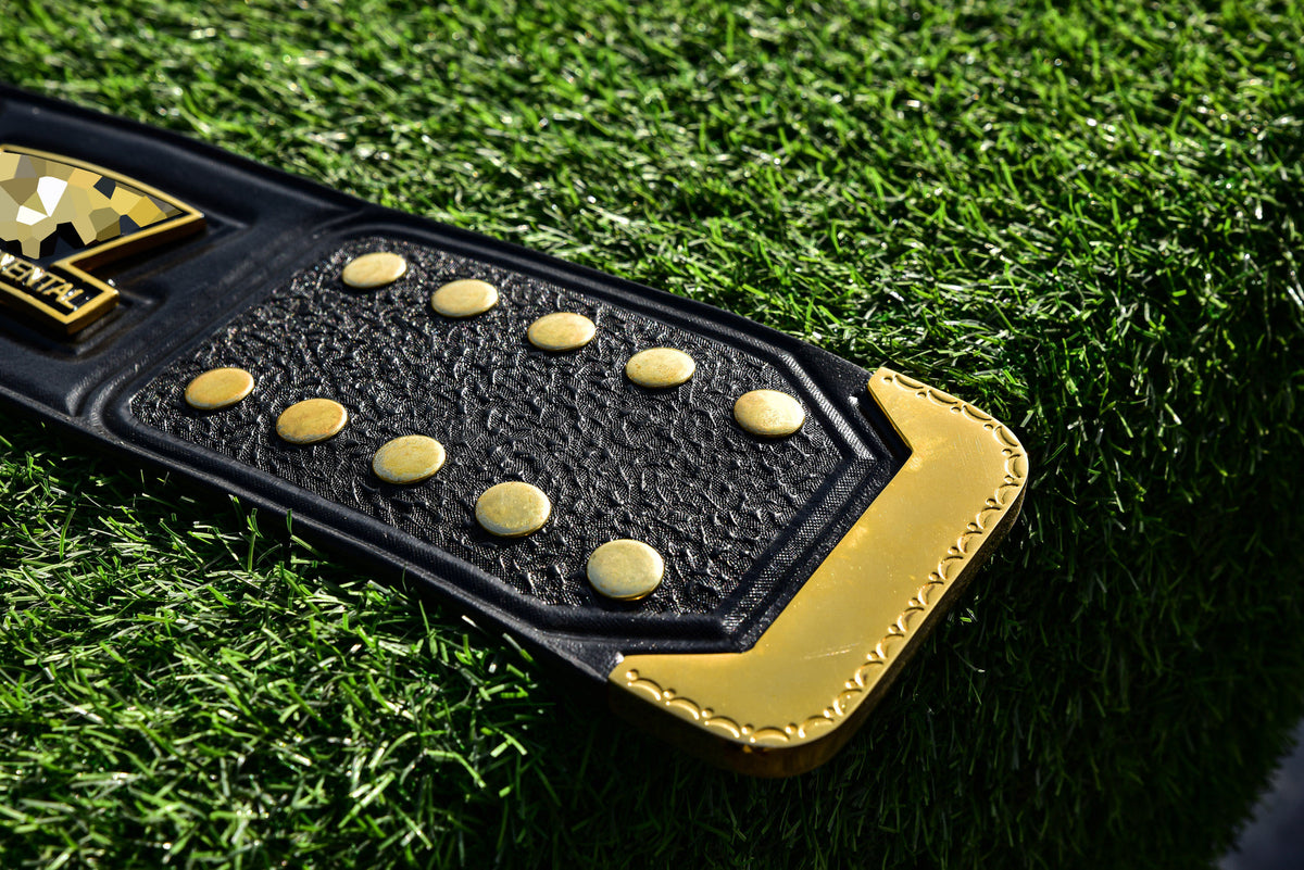 4.2mm Classic IC Title Black Leather Sharp Corners Gallery 3