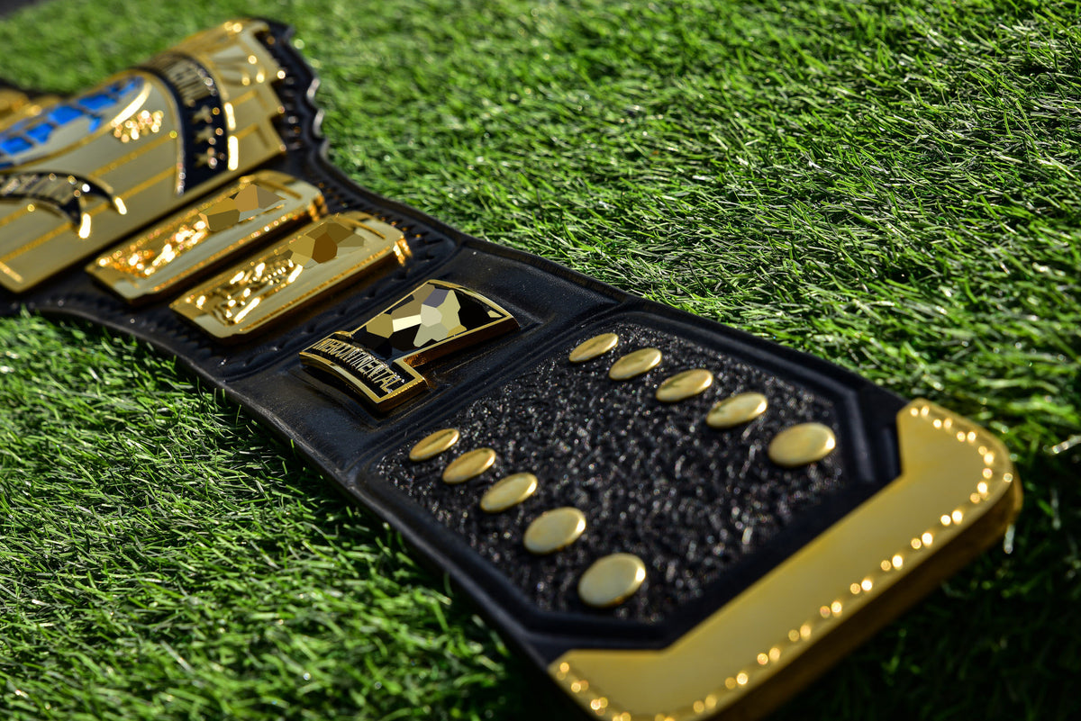4.2mm Classic IC Title Black Leather Sharp Corners Gallery 3