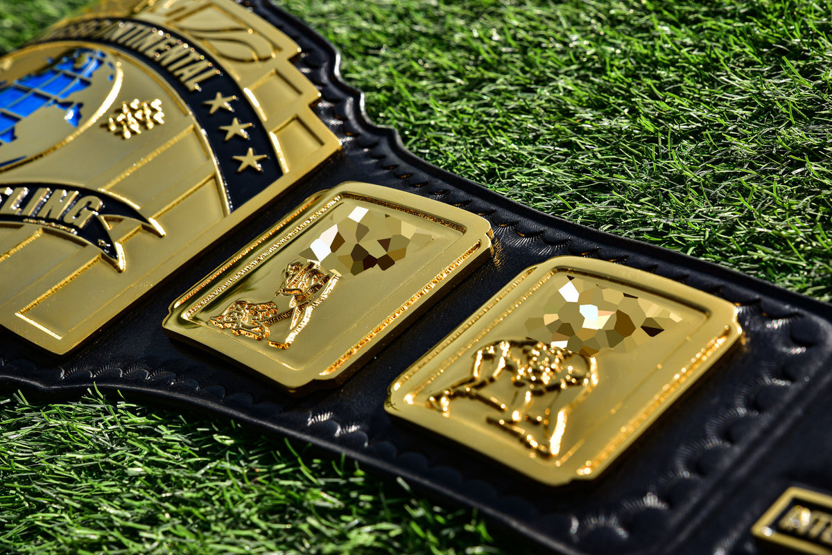 4.2mm Classic IC Title Black Leather Sharp Corners Gallery 3