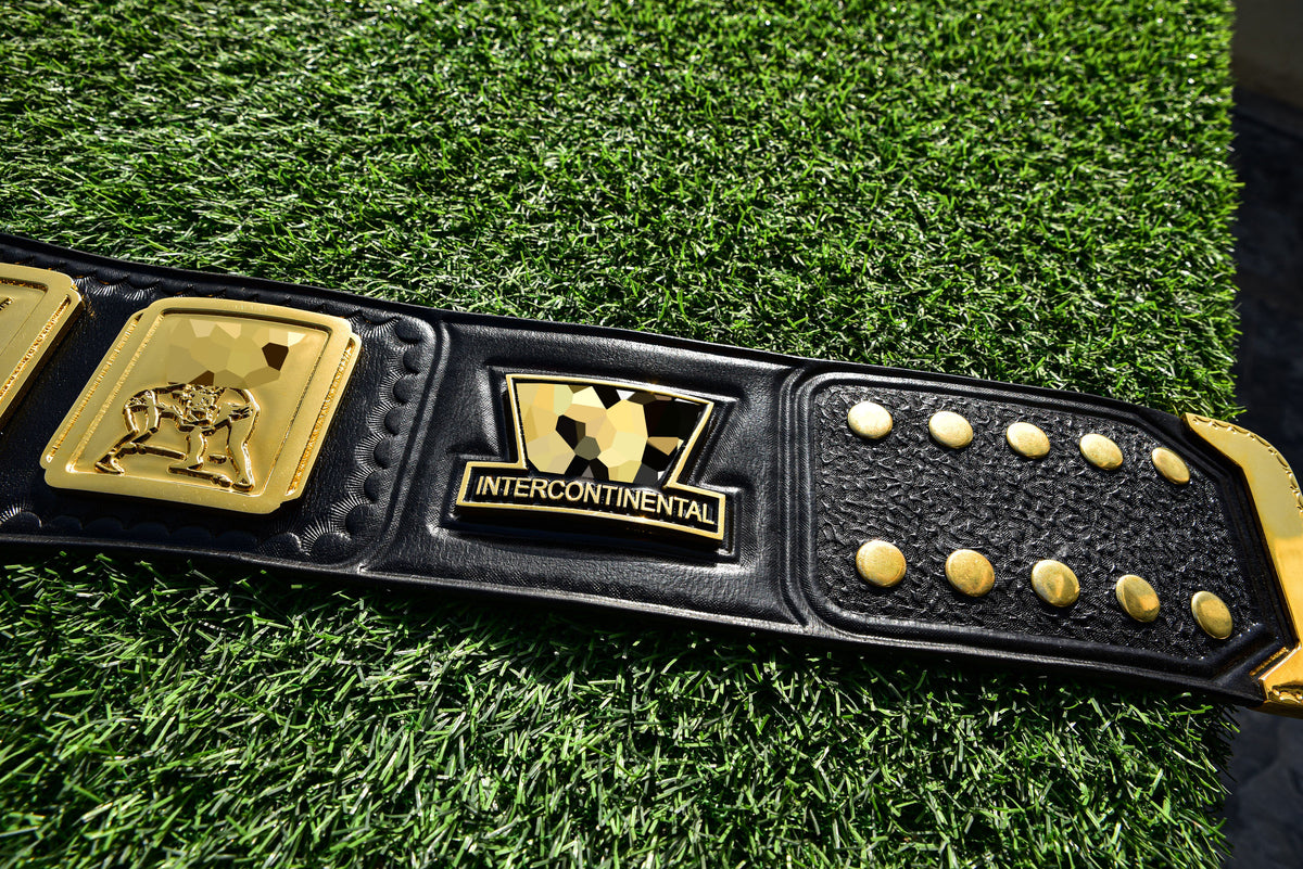 4.2mm Classic IC Title Black Leather Sharp Corners Gallery 3