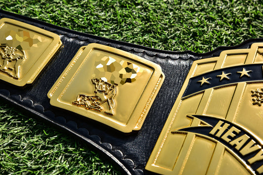 4.2mm Classic IC Title Black Leather Sharp Corners Gallery 3