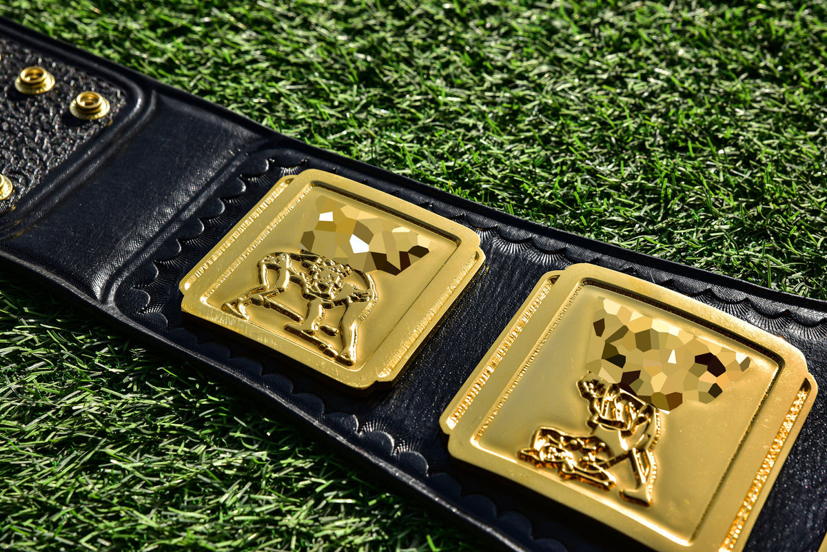 4.2mm Classic IC Title Black Leather Sharp Corners Gallery 3