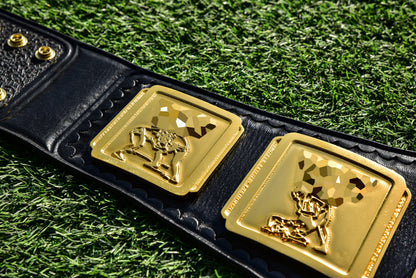 4.2mm Classic IC Title Black Leather Sharp Corners Gallery 3