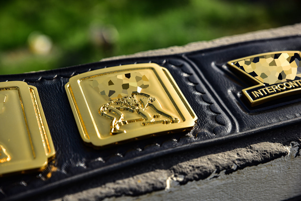 4.2mm Classic IC Title Black Leather Sharp Corners Gallery 3