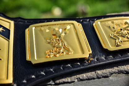 4.2mm Classic IC Title Black Leather Sharp Corners Gallery 3