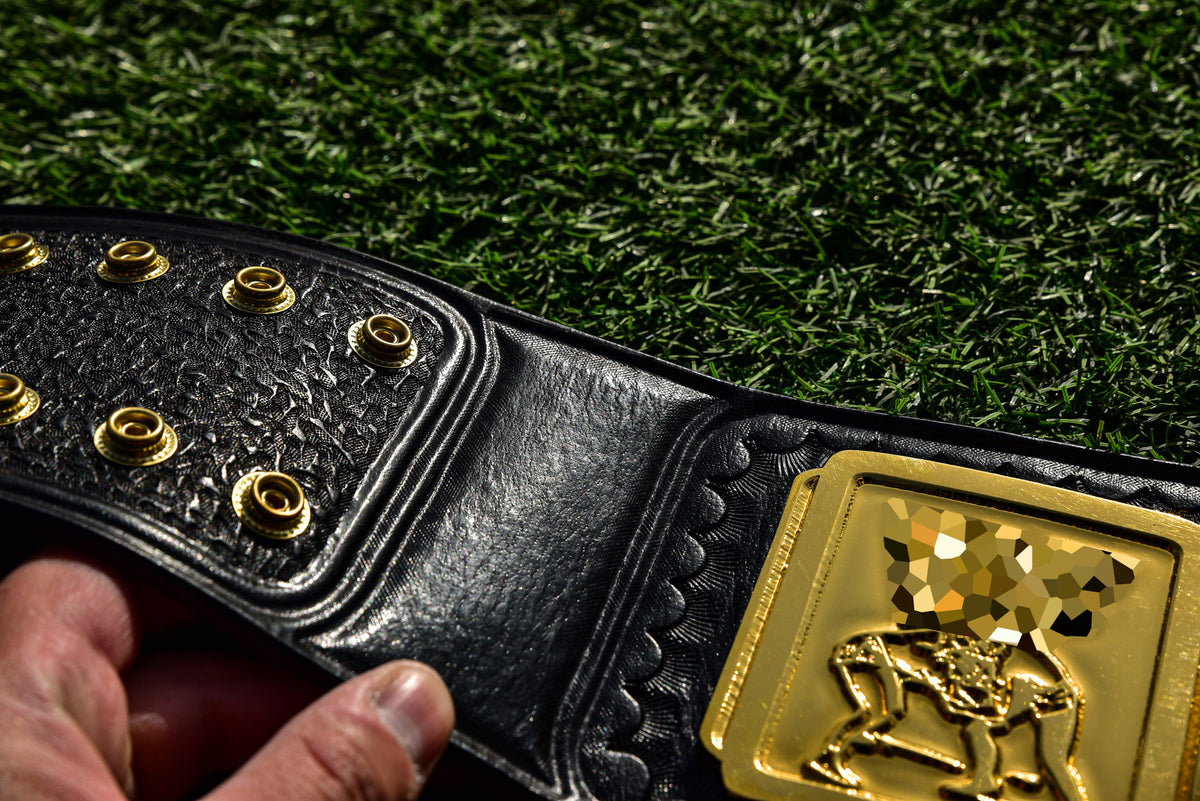4.2mm Classic IC Title Black Leather Sharp Corners Gallery 3