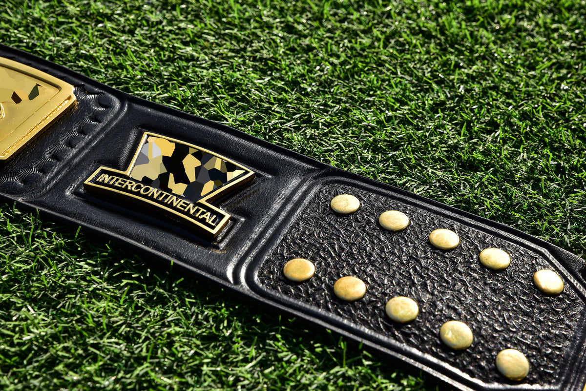 4.2mm Classic IC Title Black Leather Sharp Corners Gallery 3