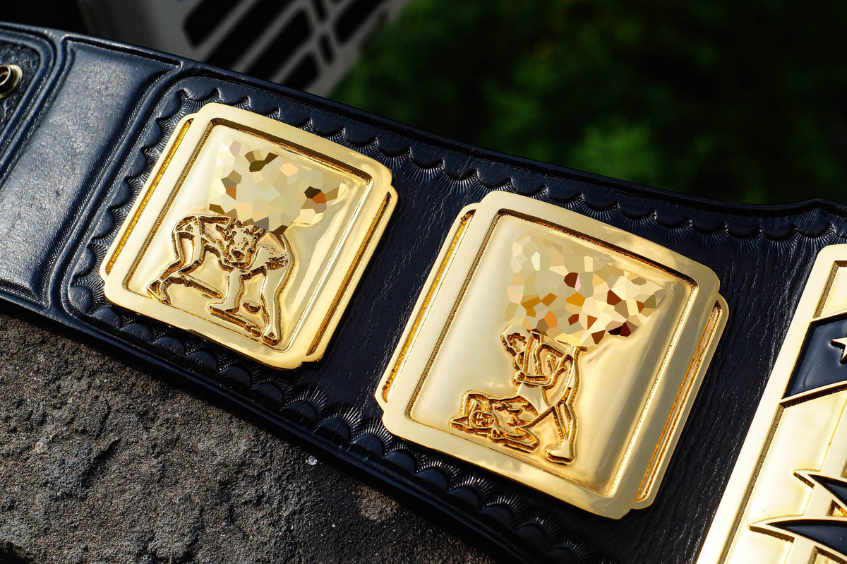 4.2mm Classic IC with Black Leather Rounded Corners Gallery 3