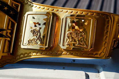 4.2mm Classic IC Title Gold Leather Rounded Corners