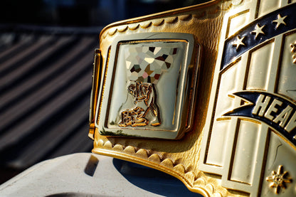 4.2mm Classic IC Title Gold Leather Rounded Corners