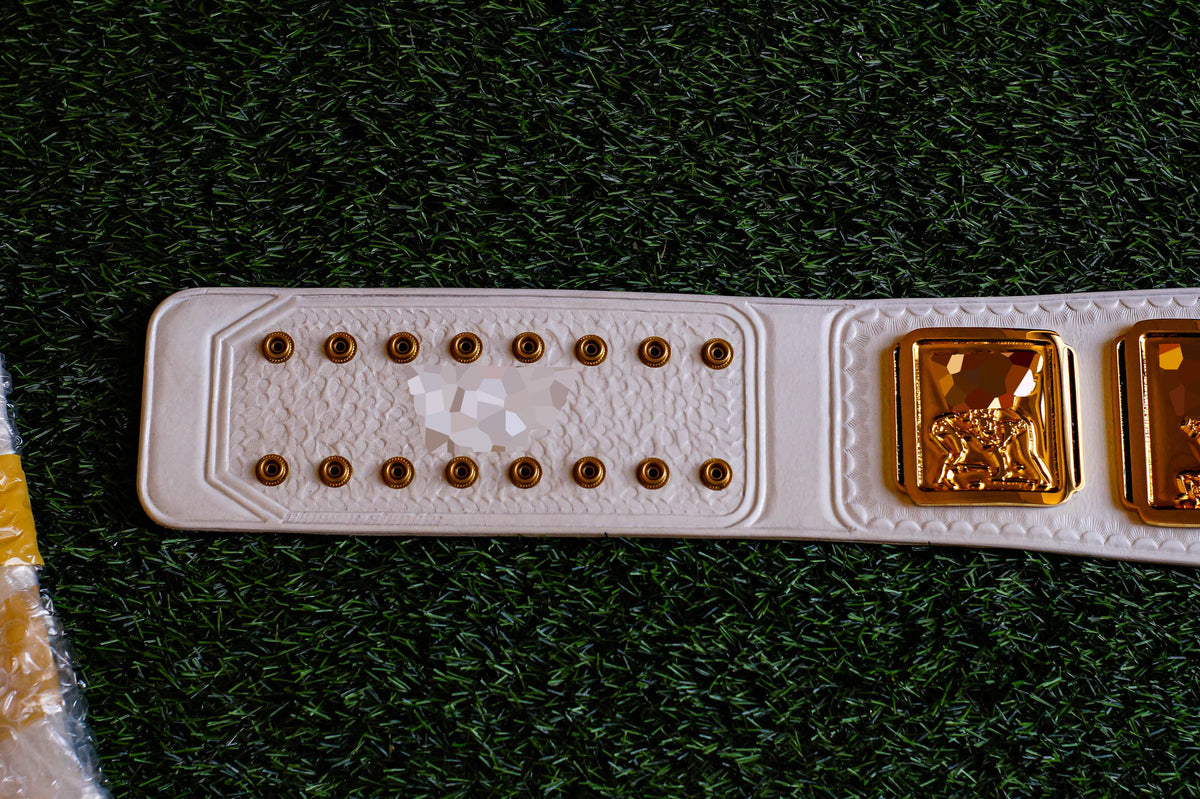 4.2mm Classic IC Title White Leather Rounded Corners