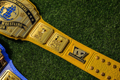 4.2mm Classic IC Title Yellow Leather Rounded Corners Gallery 2