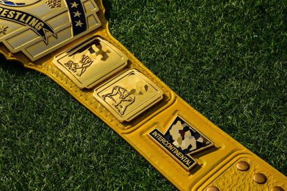 4.2mm Classic IC Title Yellow Leather Rounded Corners Gallery 2