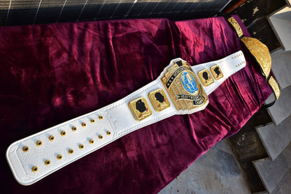 4.2mm Classic Nugget Texture IC Title White Leather Galery 2