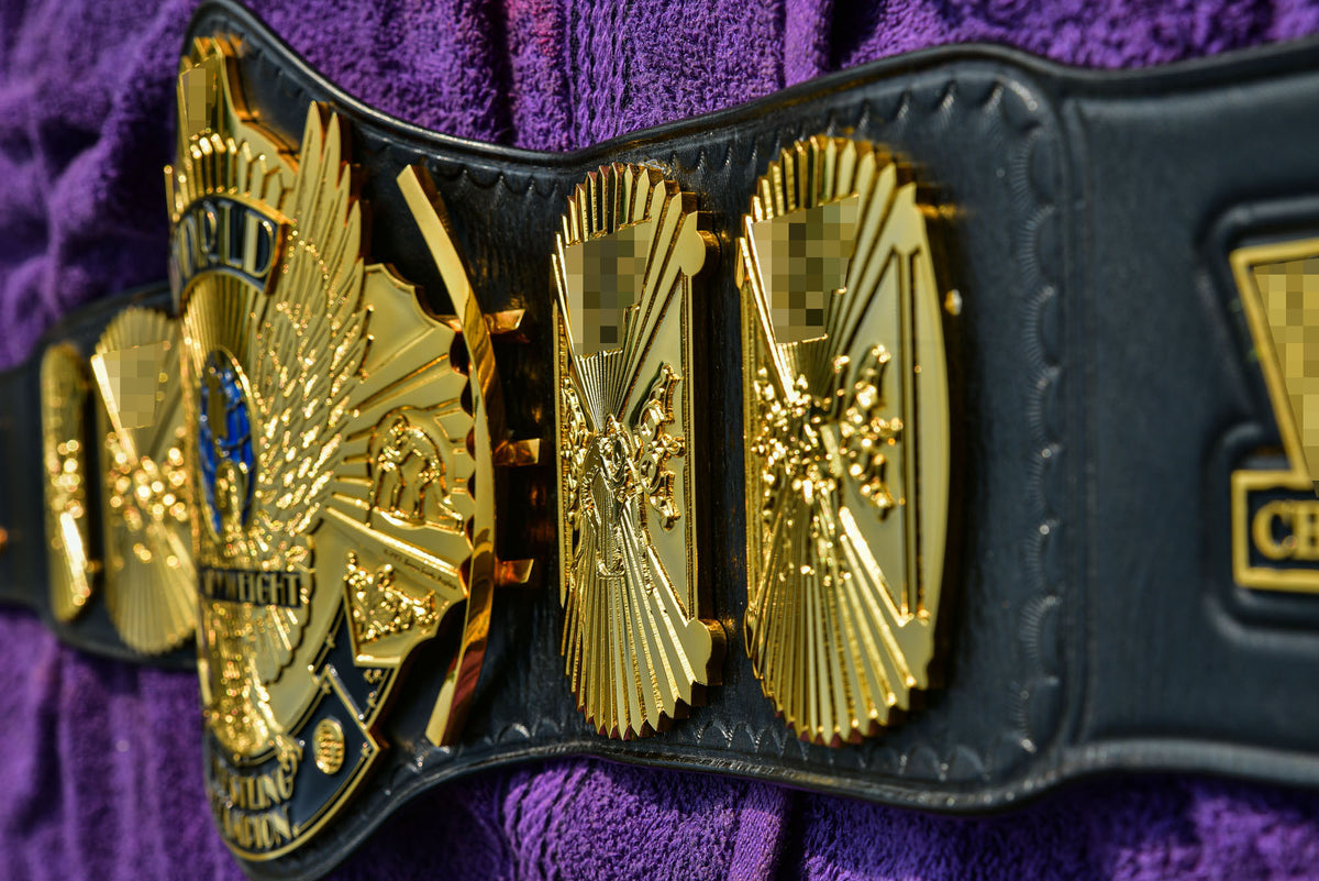 Winged Eagle Exclusive Series Sr#009