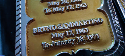 Hogan 85 Title Belt Exclusive Series