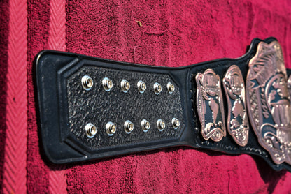 IWGP Intercontinental Title V2