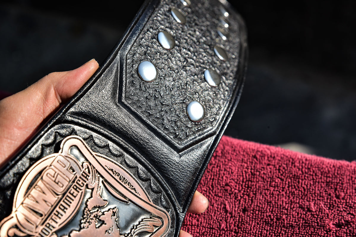 IWGP Intercontinental Title V2