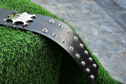 IWGP Junior Heavyweight Championship Title Classic