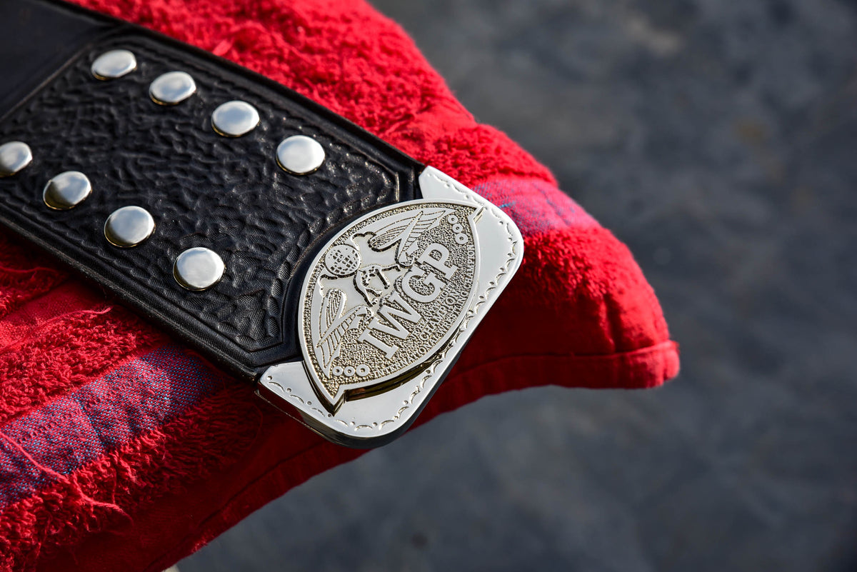 IWGP Junior Heavyweight Championship Title — IWGP JR