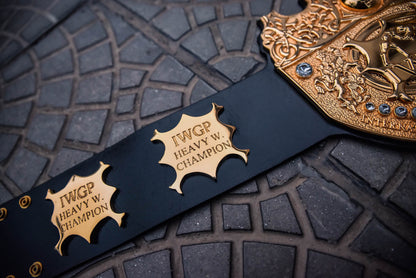 IWGP Heavyweight Championship V2