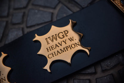 IWGP Heavyweight Championship V2