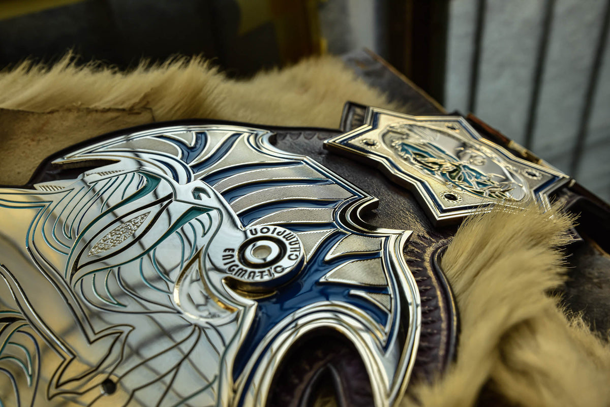 Jeff Hardy’s TNA Immortal World Championship Title Belt