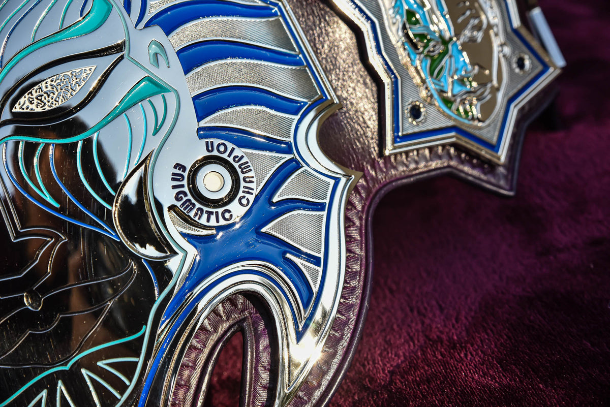 Jeff Hardy’s TNA Immortal World Championship Title Belt